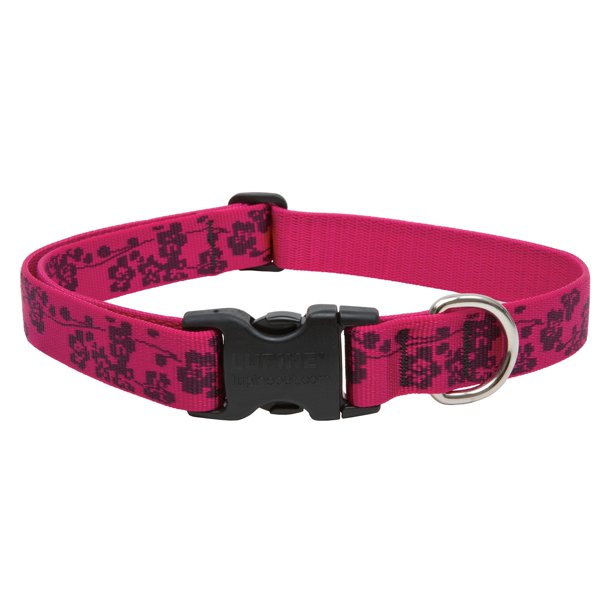 Lupine Collars and Leads 20252 1" x 12"20" Adjustable Plum Blossom