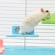 thumbnail image 1 of Plataforma para loros, hámster, loro, doble tornillo, soporte para loros, plataforma para mascotas, juguete, funcionalidad inteligente, 1 of 8