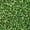 Chartreuse, variant on John Bead Czech Glass Seed Beads 10/0 (500g) Silverlined Light Red Bead