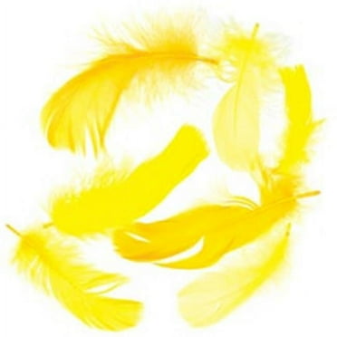 Zucker 363934 Goose Coquille Feathers . 25 Ounces-Yellow