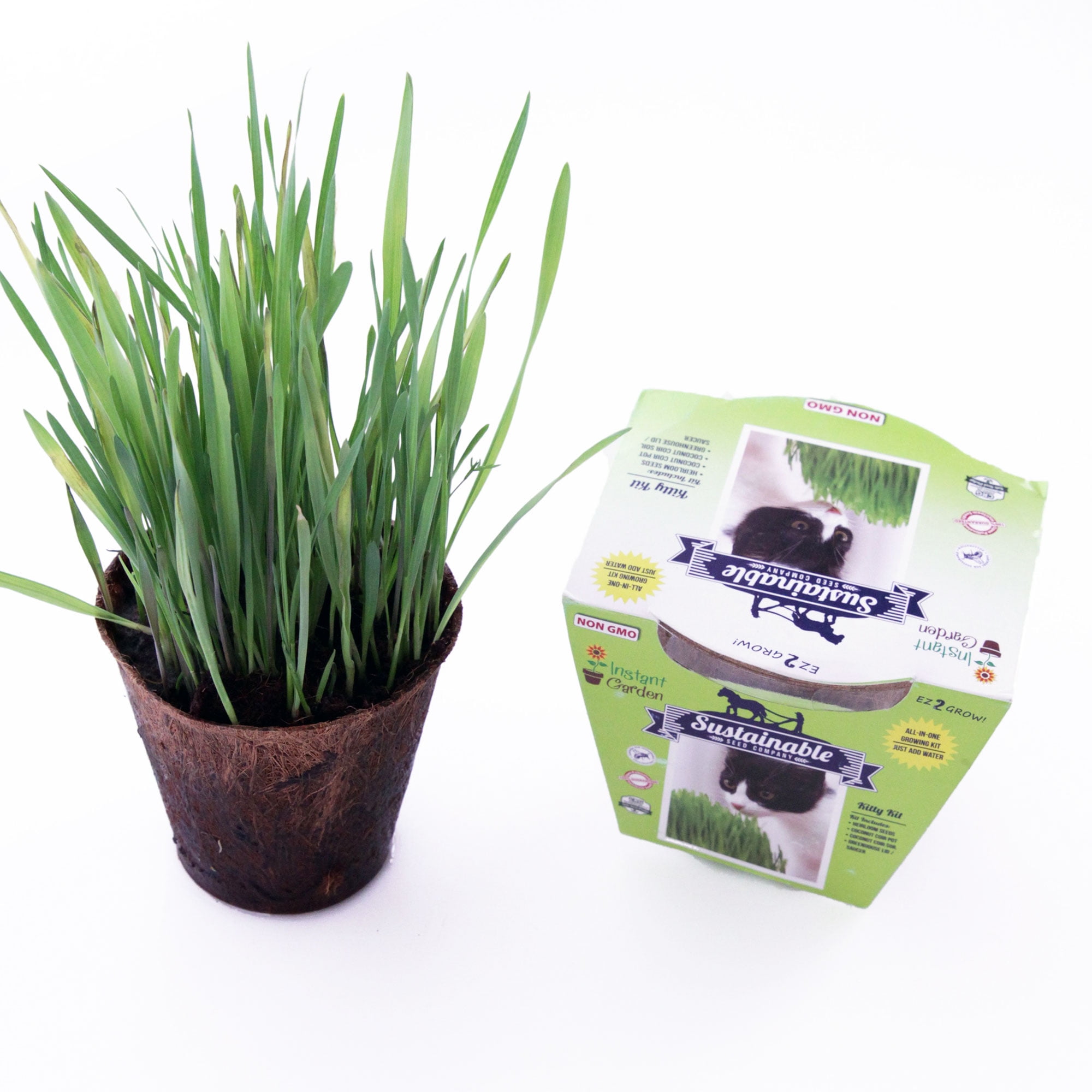 Sustainable Seed AllinOne Cat Grass Seed Starting Kit Contains Non