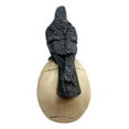 thumbnail image 4 of Zombie Raven Scavenger Crow Perching On Wretched Skull Decorative Figurine 8"H, 4 of 4