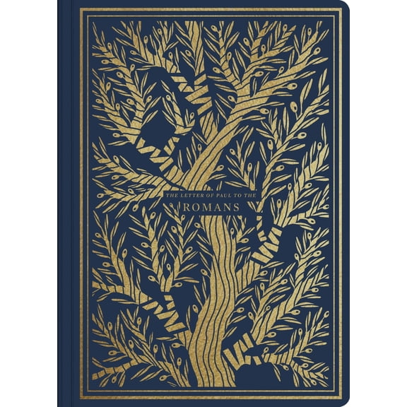 Pre-Owned ESV Illuminated Scripture Journal: Romans (Paperback) 1433564815 9781433564819