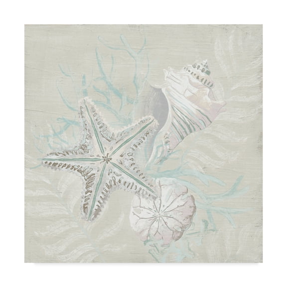 Trademark Fine Art 'Weathered Shell Sketch I' Canvas Art by June Erica Vess