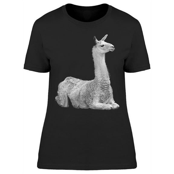 White Cute Llama T-Shirt Women -Image by Shutterstock, Female 3X-Large