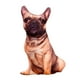 thumbnail image 1 of Cojín de peluche con estampado de perros, regalos para familiares, amigos y niños. Estilo I, 1 of 3