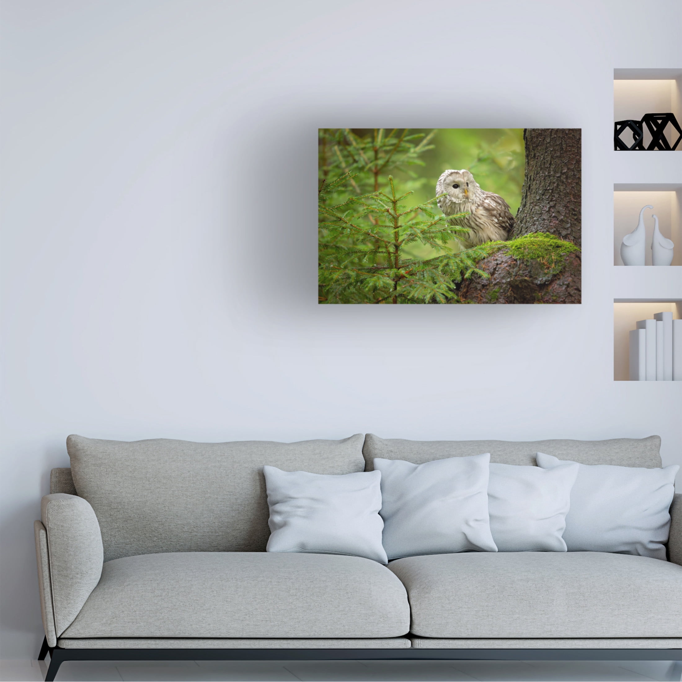 Canvas Wall Art - Milan Zygmunt 'Ural Owl' Wall Art for Living Room, Bedroom, or Office D?cor by Trademark Fine Art - 19 x 12 Inches