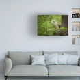 thumbnail image 2 of Canvas Wall Art - Milan Zygmunt 'Ural Owl' Wall Art for Living Room, Bedroom, or Office D?cor by Trademark Fine Art - 19 x 12 Inches, 2 of 4