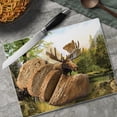 thumbnail image 3 of CounterArt Tranquil Moose Tempered Glass Cutting Board 10" by 8", 3 of 7