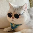 thumbnail image 3 of Cat Sunglasses Summer Outdoor Puppy UV Protection Sunglasses Dolls Sun Glasses Small Dog Cosplay Photo Props Cute Pet Sunglasses, 3 of 10