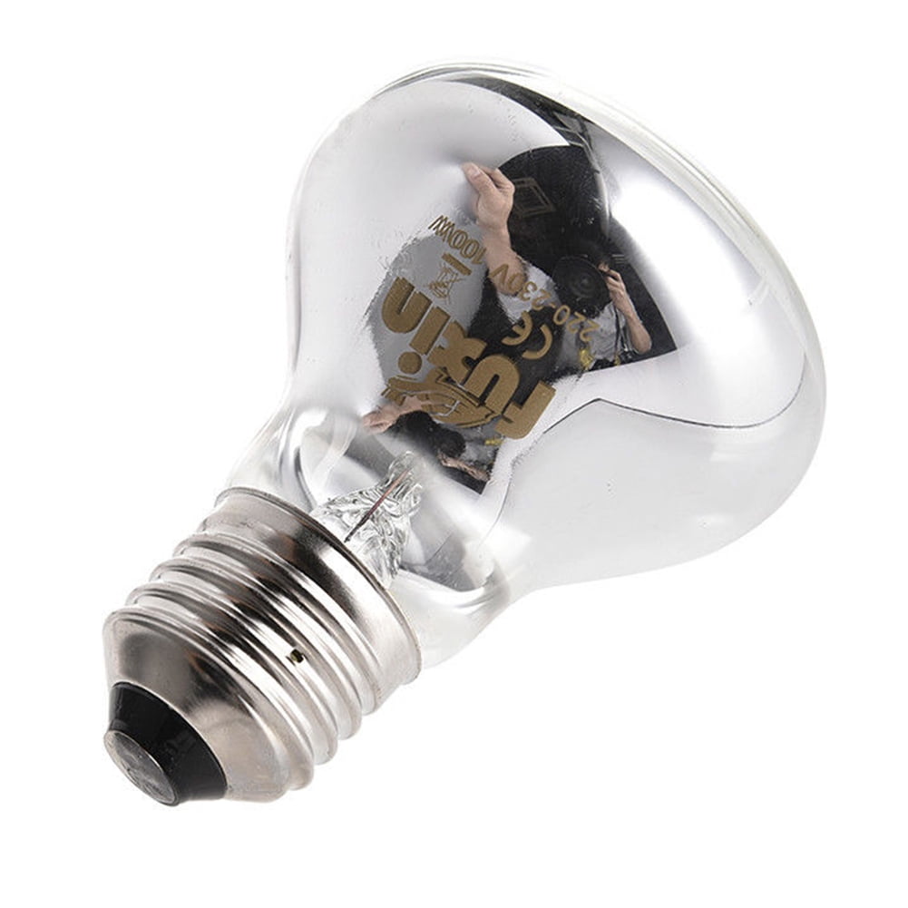 reptile heat lamp near me