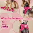thumbnail image 2 of Chaleco Dog Harness Rabbitgoo Step-in de malla suave para cachorros XS, 2 of 5