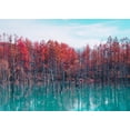 thumbnail image 1 of Japan Landscape Poster Canvas Paintings And Prints Modern Tokyo Japan City Night Travel Mount Fuji For Living Room Home Unframed50 x 70 cm (without frame),R, 1 of 7