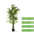 thumbnail image 4 of 72 inches Artificial Bamboo Tree in Black Nursery Pot, 4 of 5