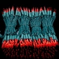 thumbnail image 2 of Luces navideñas YULETIME 200 LED rojas, 20 m, cable verde, 2 of 9