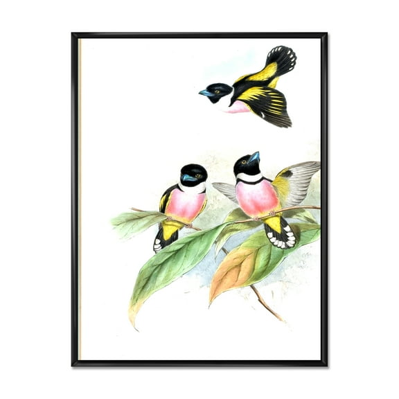 Ancient Birds III 12 in x 20 in Framed Painting Canvas Art Print, by Designart