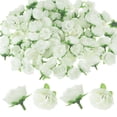 thumbnail image 1 of Uxcell 100 Paquete Cabezas de Rosas Artificiales 1.2" Pequeña Cabeza de Rosa de Seda Falsa para Decoración Cabezas de Flores Falsas Capullos Crema, 1 of 7