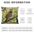 thumbnail image 5 of GOSMITH Throw Pillow Cover - Ashy Crowned Sparrow Lark Sparrow Bird, 5 of 5