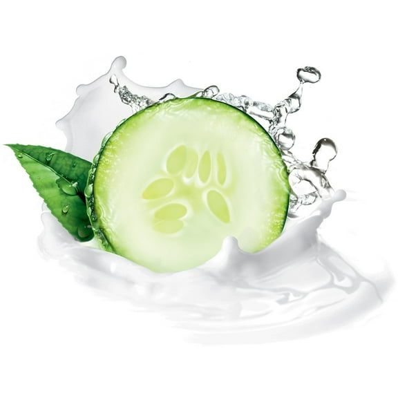 Dove Go Fresh Cool Moisture Body Wash, Cucumber & Green Tea, 12oz, 2-Pack