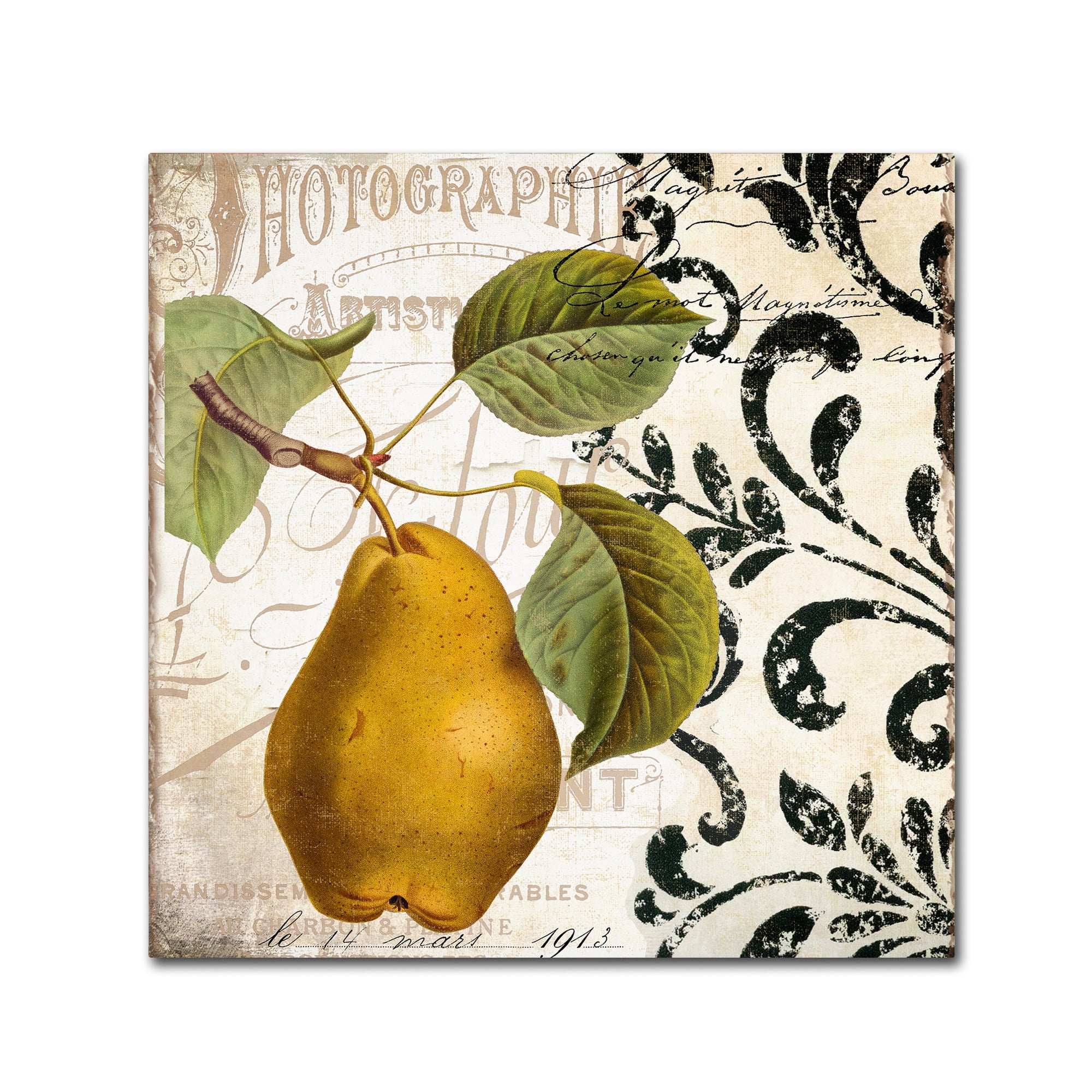 Trademark Fine Art "Les Fruits Jardin I" Canvas Art by Color Bakery