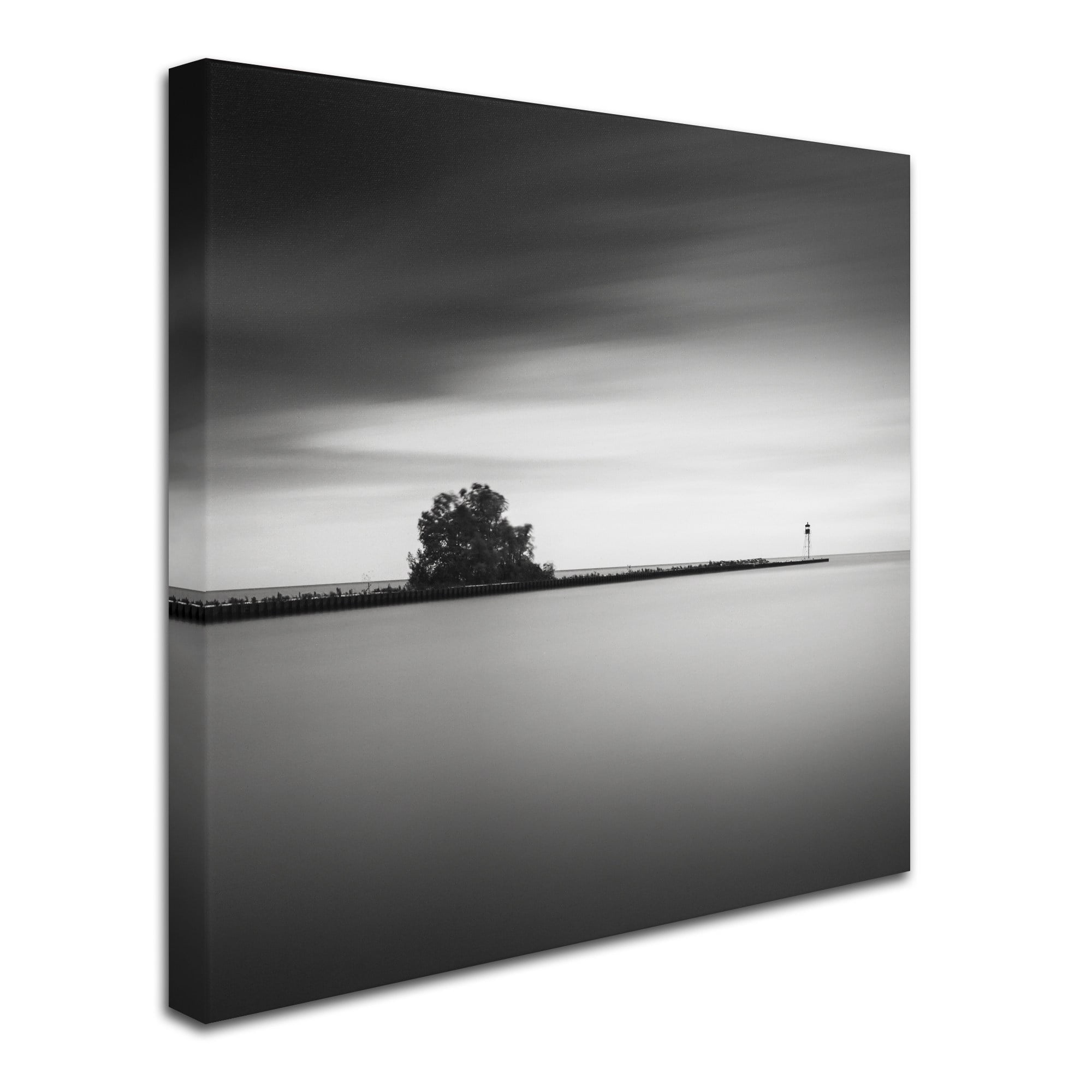 Trademark Fine Art Dave MacVicar 'Erieau 2' 18 x 18 (ALI0831-C1818GG)