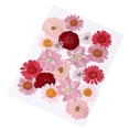 thumbnail image 1 of Flores Prensadas Secas es Plantas , Adornos de Bricolaje para Cajas de Rojo 20 piezas Zulema flores secas reales naturales, 1 of 8