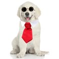 thumbnail image 1 of Pajarita para mascotas, corbata para niños, corbata pequeña con estampado de rayas, corbata para perros 1520, 1 of 5