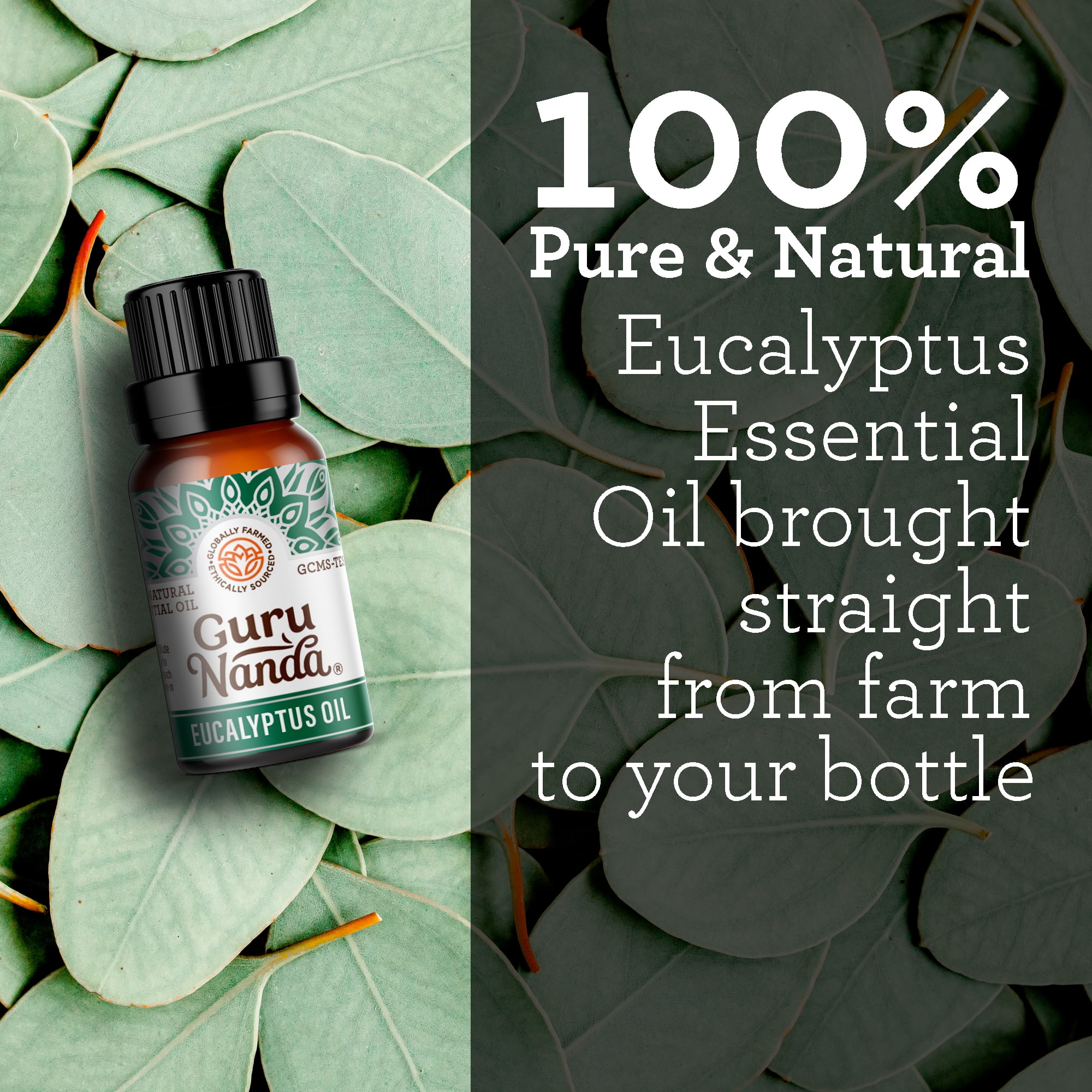 GuruNanda 100% Pure & Natural Eucalyptus Essential Oil for Aromatherapy & Diffuser - 15ml