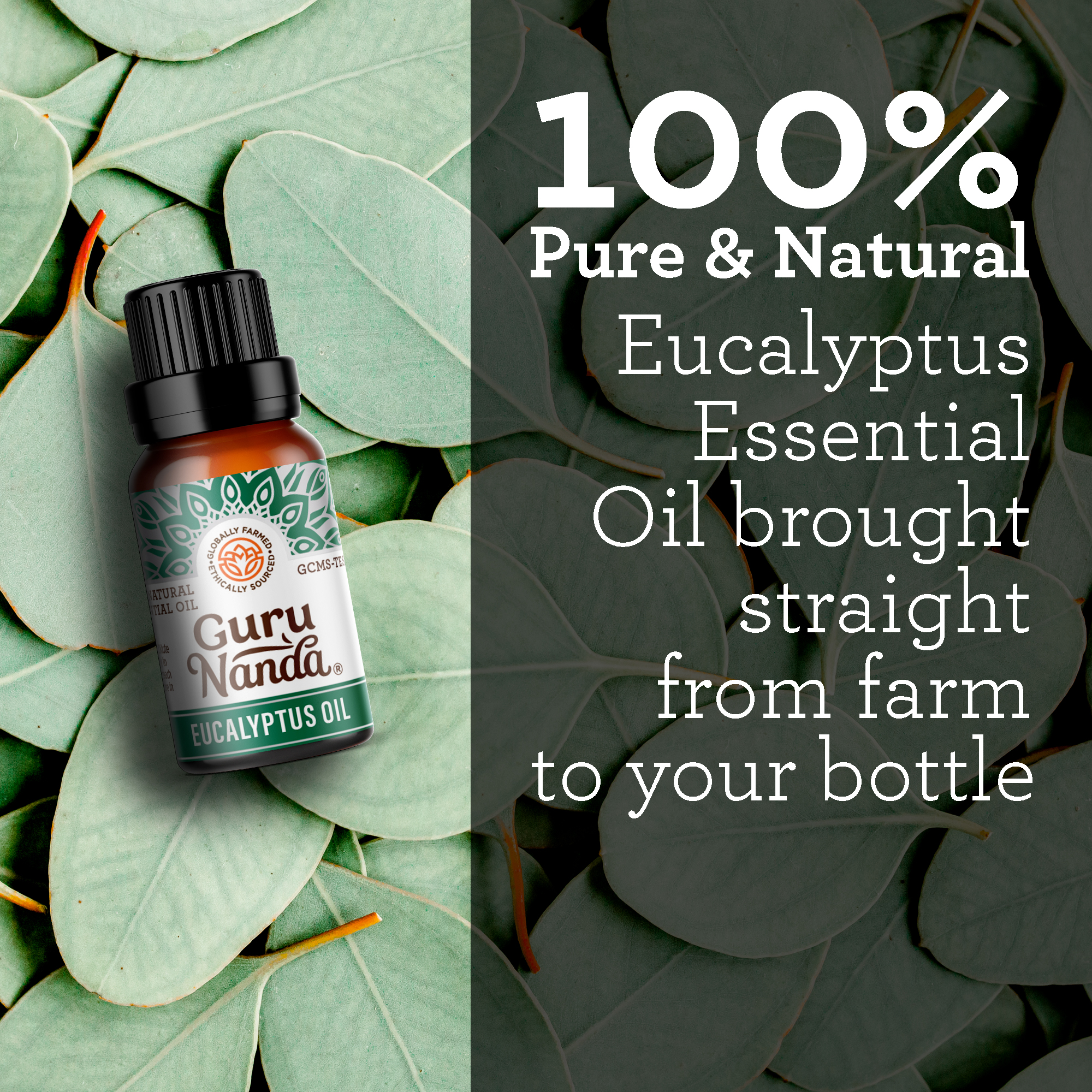 GuruNanda 100% Pure & Natural Eucalyptus Essential Oil for Aromatherapy & Diffuser - 15ml - image 4 of 8