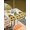 White, variant on Outdoor Tablecloth with Umbrella Hole and Zipper, Yellow Bees Gnomes Rectangle Table Cloth 54x80 Inch Waterproof Tablecloth, Spring Floral Branches Sunflower Picnic Table Cover for Patio Camping