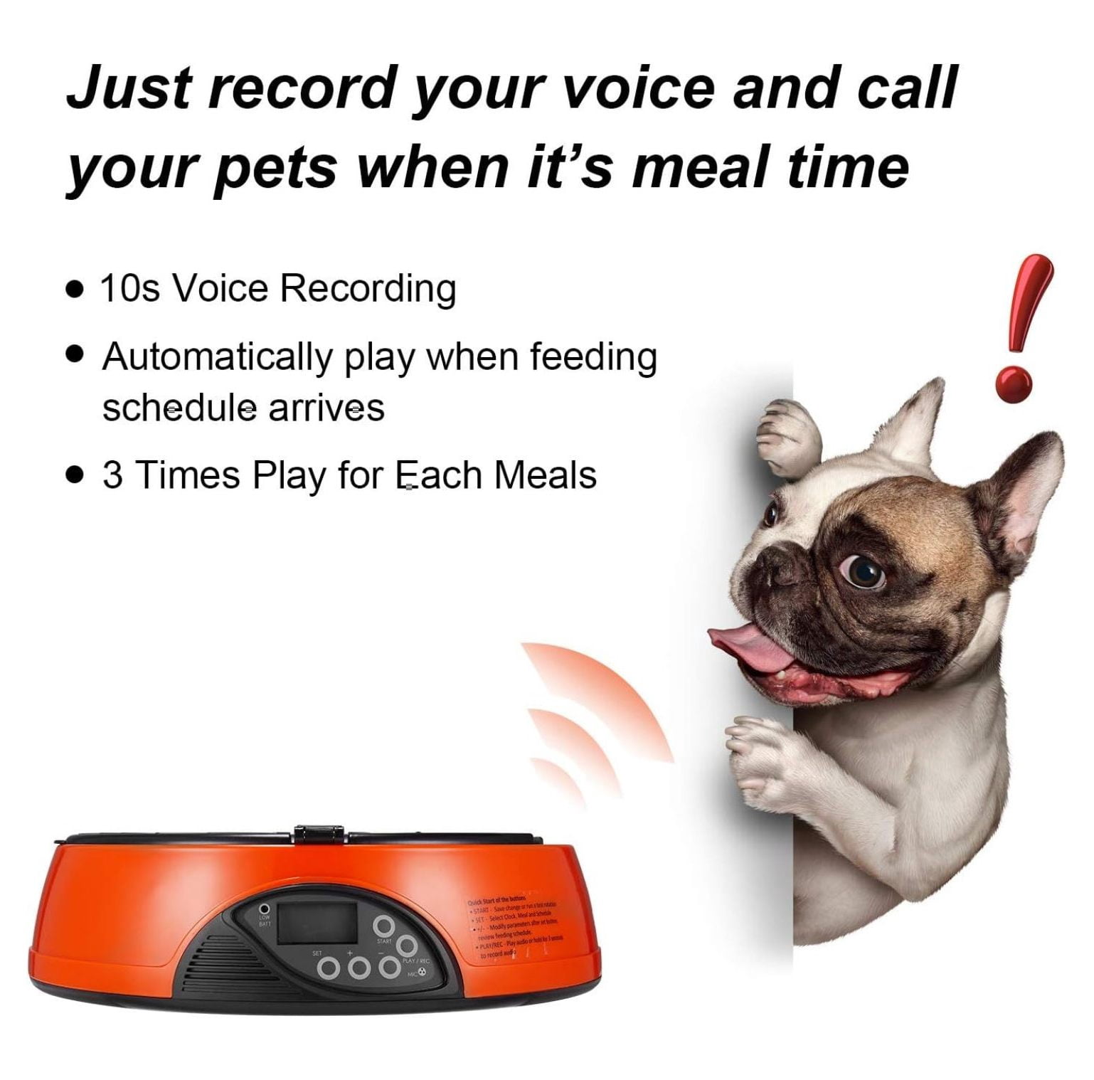 XYX AF 108 Plus Programmable Automatic Pet Feeder for Dog, Cat & Other Small Pet