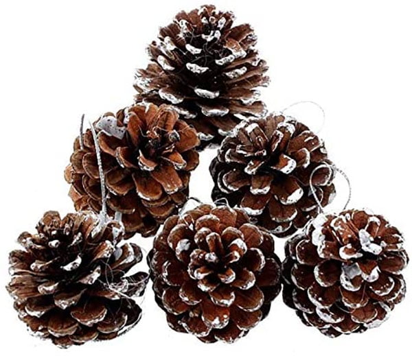 Happon 9 Pieces Pine Cones for Christmas Tree Christmas Pine Cones  Ornaments Pine Cones Decorations Frosted Mini Pine Cones Xmas Pinecones  with String