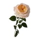thumbnail image 1 of Ramo de rosas artificiales de tallo largo hidratantes y realistas para fiestas. Amarillo claro, 1 of 9