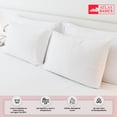 thumbnail image 4 of Almohadas Atlas del descanso 2 Pack Estándar Confort Suave, 4 of 6