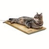Image thumbnail_image