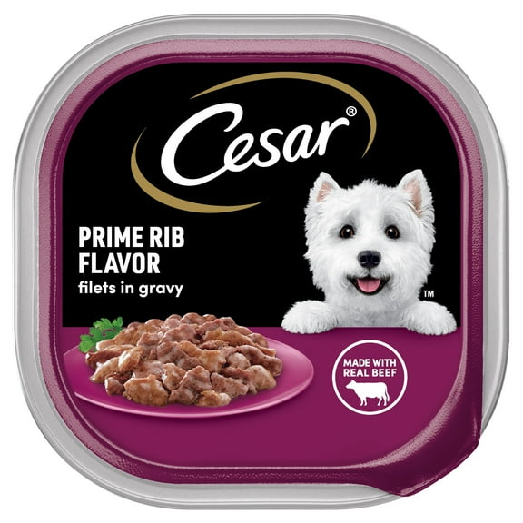 Cesar Filets in Gravy Prime Rib Flavor Adult Wet Dog Food, 3.5 oz Tray