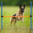 thumbnail image 3 of Dog Toy, Plastic Hurdle Bar Games Exercise Toy Detachable Dog  Hurdle, For Dogs Animals, 3 of 8