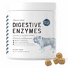 Chew + Heal Digestive Enzyme Supplement for Dogs - 120 Soft Chew Treats