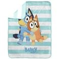 thumbnail image 2 of Bluey Silk Touch Fleece Throw, 2 of 6