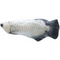 thumbnail image 4 of Jouet pour Chat Poisson Simulation Poisson Électronique Jouet à l'Herbe à Chat Balançoire Poisson Jouet pour Chat Rechargeable par USB Poisson Argenté Dragon Poisson, 4 of 5
