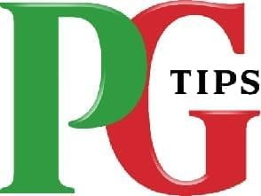 PG Tips 240 Original Pyramid Tea Bags from Great Britain