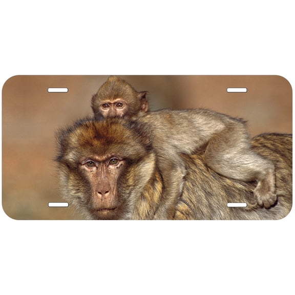 Monkey TAG31 Novelty Car Auto License Plate
