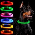 thumbnail image 4 of GASTROPOD Dog Collar Light,Flexible Size Adjustment Puppy Collars,Lightweight Collar Design Collar for Dogs,Stylish Pet Accessory Breathable Dog Collar,, 4 of 4