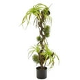 thumbnail image 1 of Nearly Natural 8331 41 in. Air Plant & Succulent Jungle Artificial Plant, 1 of 1