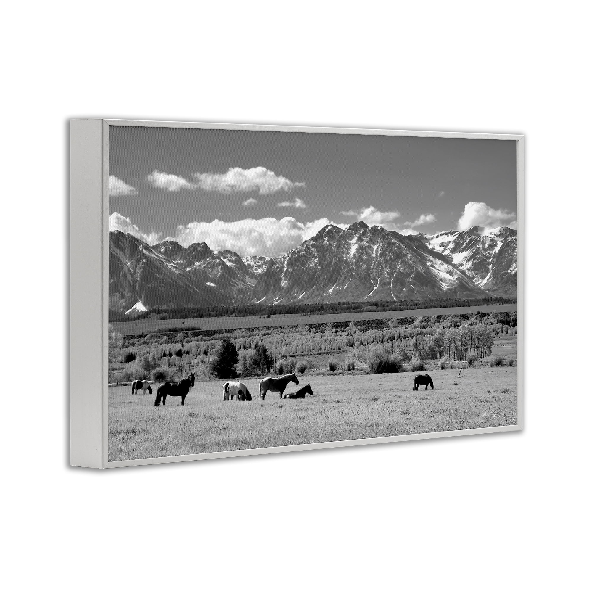 Stupell Industries Wyoming Ranch Horses Grazing White Framed Giclee Art, design by Steve Toole