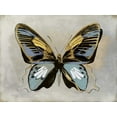 thumbnail image 2 of Bosco, Julia 18x15 Gold Ornate Wood Framed with Double Matting Museum Art Print Titled - Butterfly Study II, 2 of 4