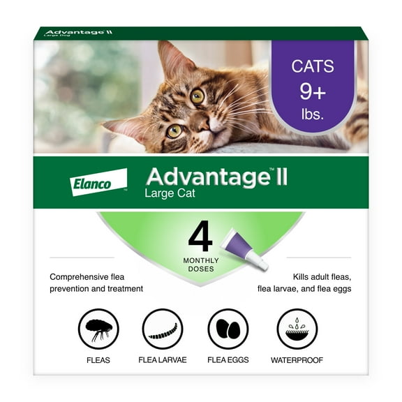 Advantage II Vet-Recommended Flea Prevention for Large Cats 9 lbs , 4-Monthly Treatments