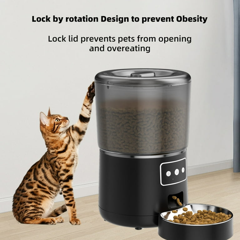 Time delay top cat feeder