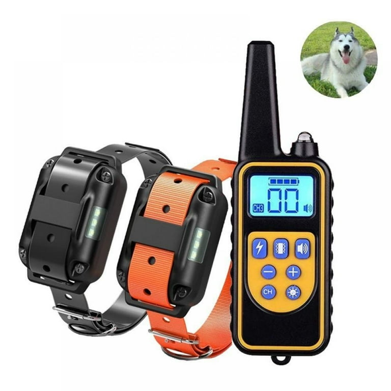 Hiseasun top dog collar