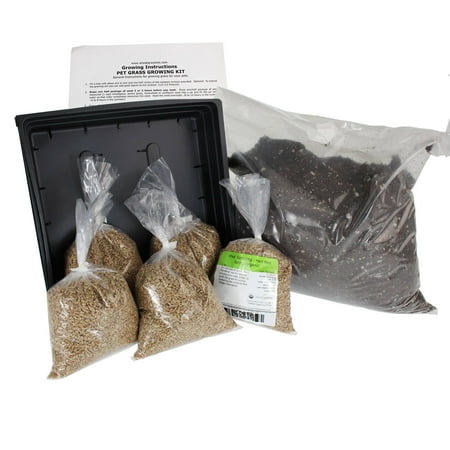 Organic Dog & Cat Wheatgrass Growing Kit for Pet - Dogs Cats & Pets Love To Eat Wheat Grass for Better